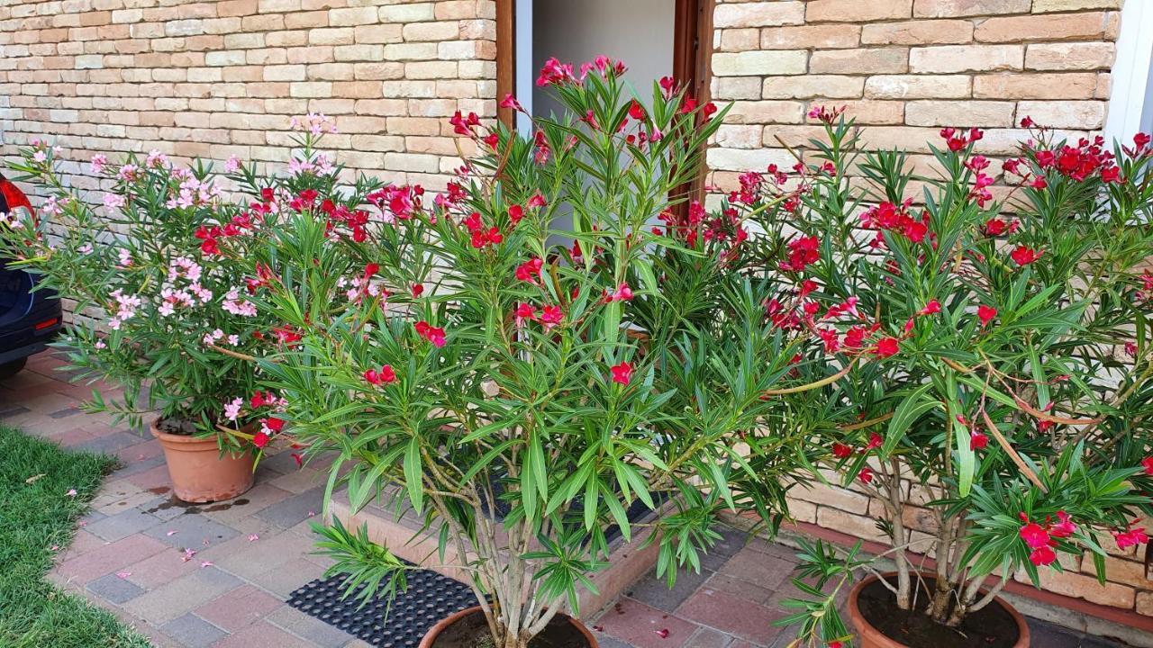Wellapartman Zamardi Exterior photo